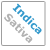 40% Sativa / 60% Indica 
