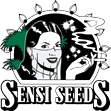 cannabis seeds