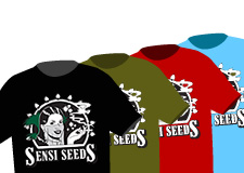 Oficjalny asortyment Sensi Seeds