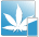 yield