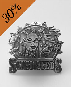 Broche Au Logo Sensi Seeds