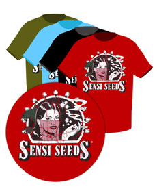 T-shirt Vintage Logo Sensi Seeds 