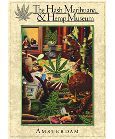 Naklejka Hash Marihuana Hemp Museum