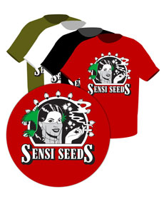 Koszulki z logo Sensi Seeds