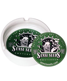 Sensi Ashtray