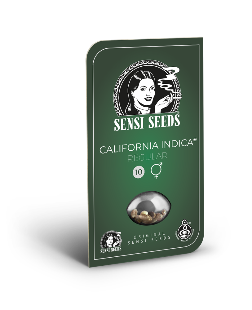 California Indica Semi di Cannabis Regolari – Sensi Seeds