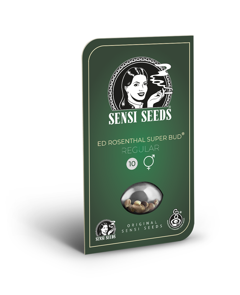 Ed Rosenthal Super Bud Regular Seeds – Sensi Seeds