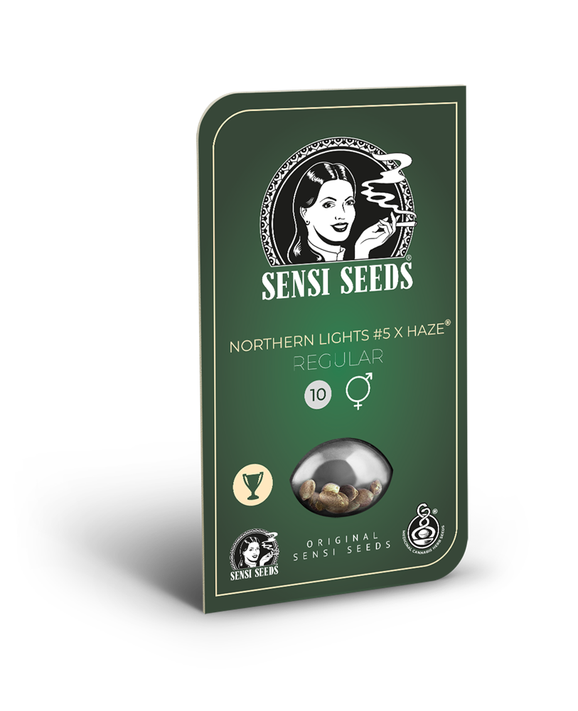 Northern Lights #5 X Haze Seeds – Sensi Seeds