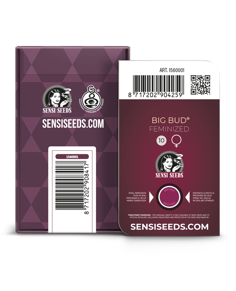 Big Bud Feminized Seeds – Sensi Seeds