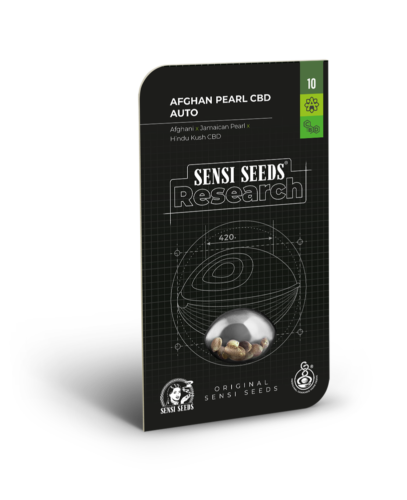 Semillas De Afghan Pearl Cbd Autoflorecientes Sensi Seeds 9959