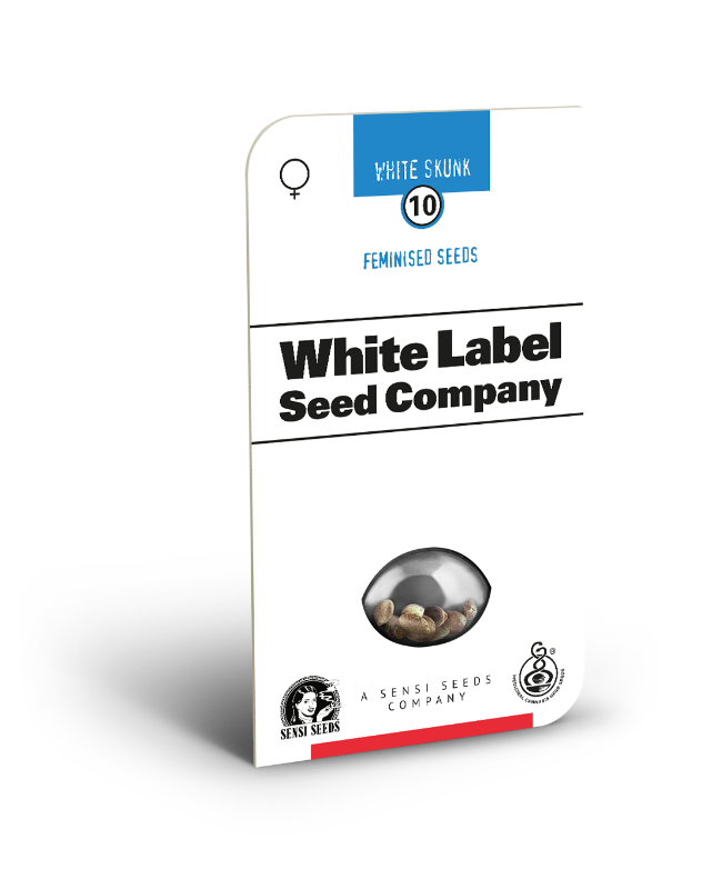 Picture of White Skunk Feminized Seeds by White Label