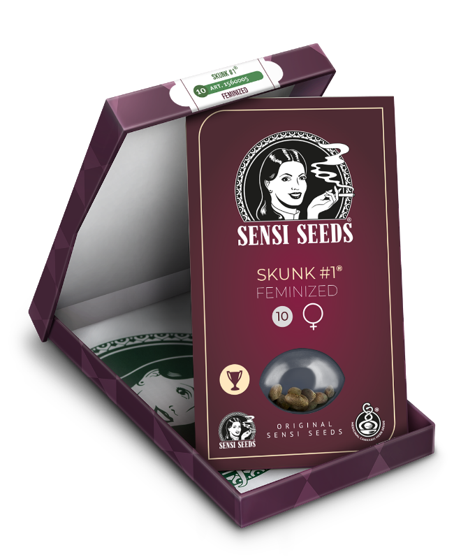 Picture of Skunk #1 Feminized Seeds