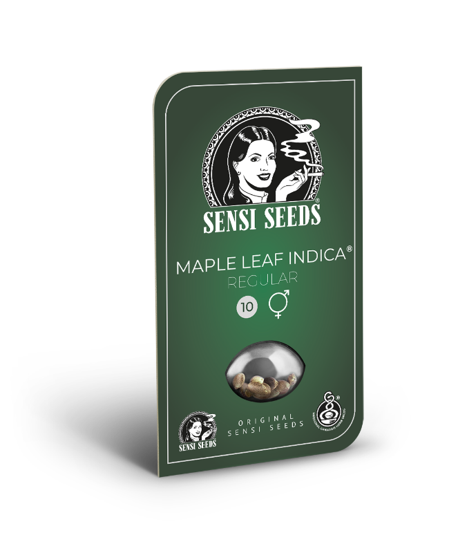 Picture of Maple Leaf Indica Regular Seeds