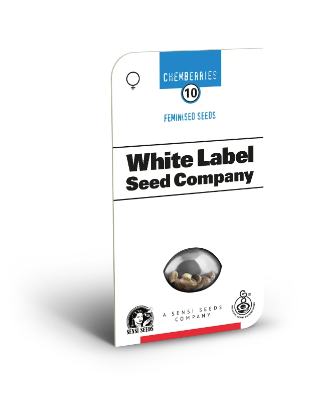 Chemberries Feminized Seeds Blistercard