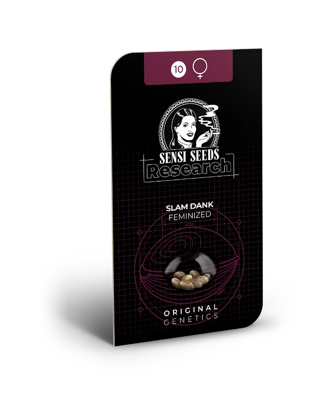 Slam Dank Feminized Seeds Blistercard