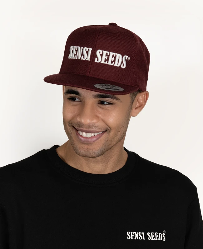 Snapback Limited edition Maroon/White