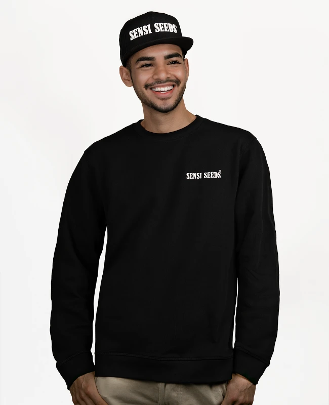 Classic Sweatshirt With Embroidered Logo