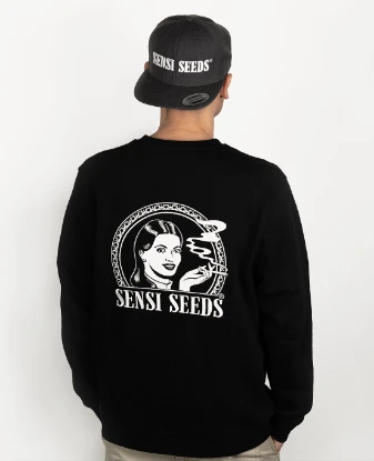 Classic Sweatshirt With Embroidered Logo
