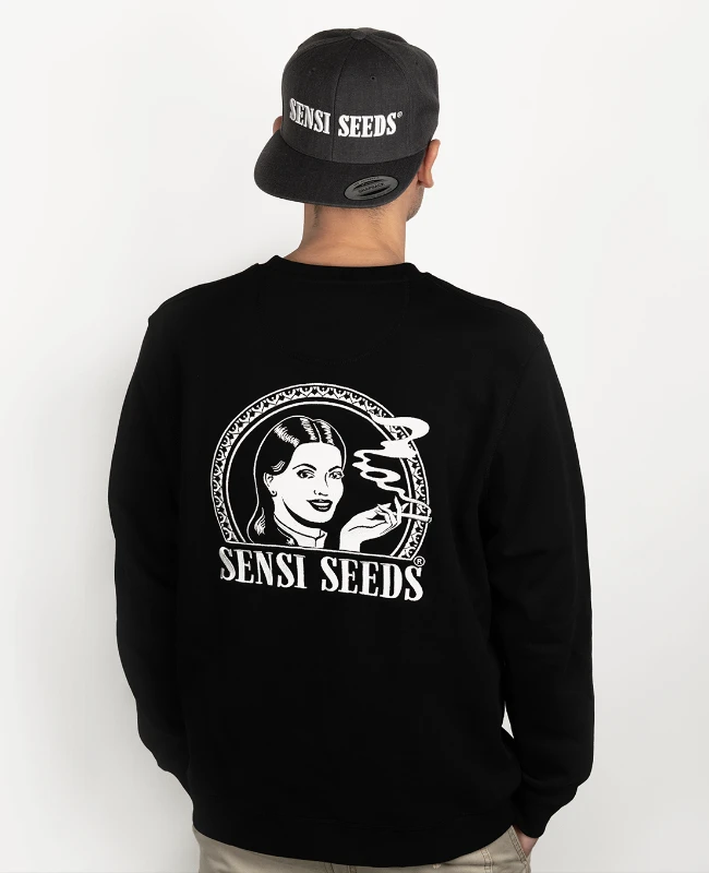Classic Sweatshirt With Embroidered Logo