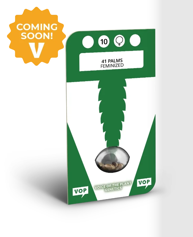 41 Palms Feminized Seeds