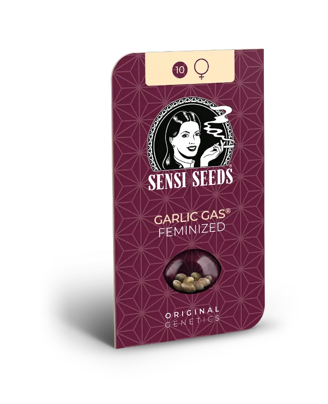 Garlic Gas Feminized Seeds Blistercard