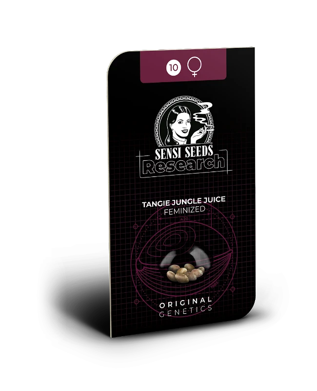 Tangie Jungle Juice Feminized Seeds Blistercard