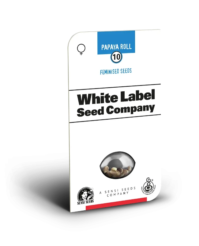 Papaya Roll Feminized Seeds