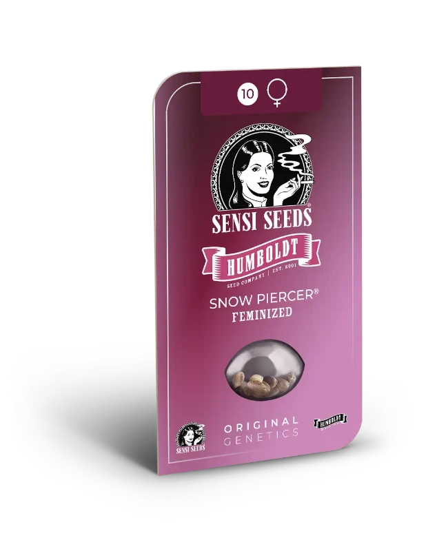 Snow Piercer Feminized Seeds Blistercard
