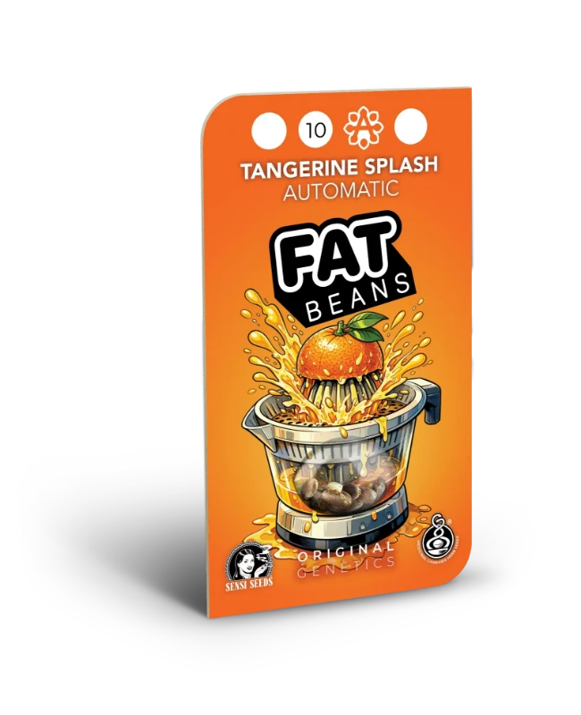 Tangerine Splash Automatic Seeds Blisterrcard
