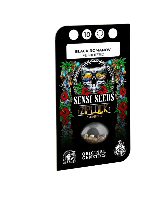 Black Romanov Feminized Seeds Blistercard