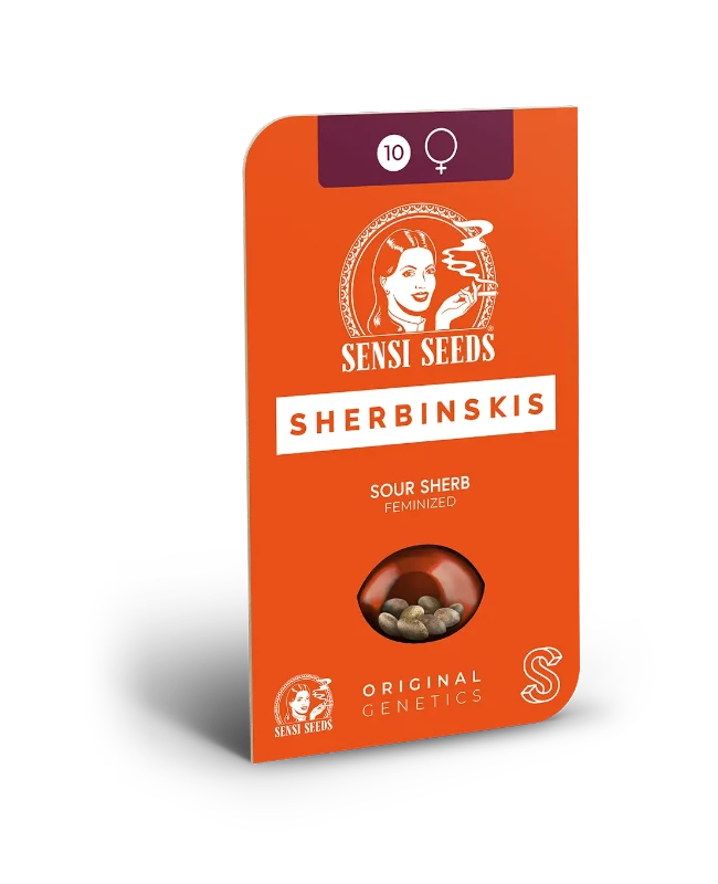 Sour Sherb Feminized Seeds Blistercard