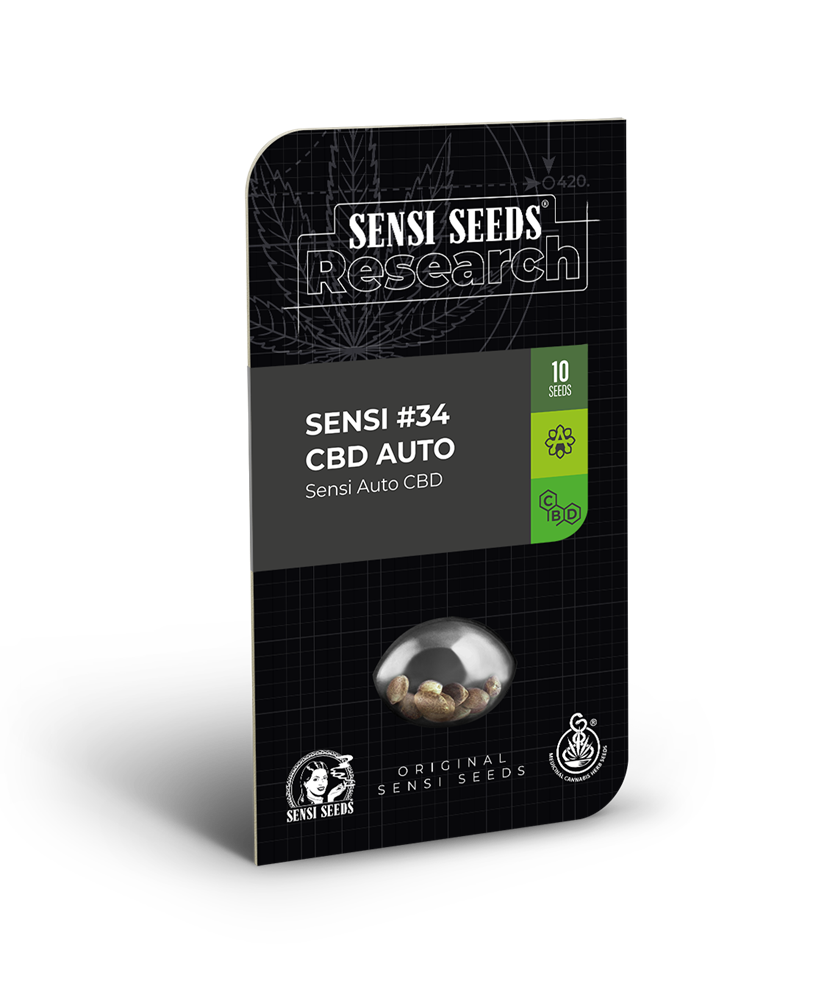 Acquistate I Semi Sensi 34 Auto Cbd Sensi Seeds Research 1343