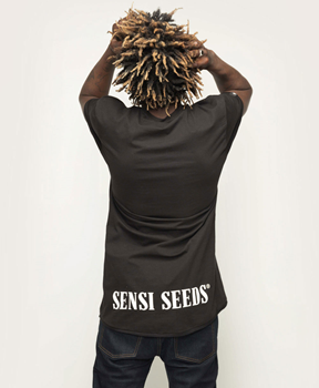 Ponha-se à vontade com a Sweatshirt Original Sensi Seeds